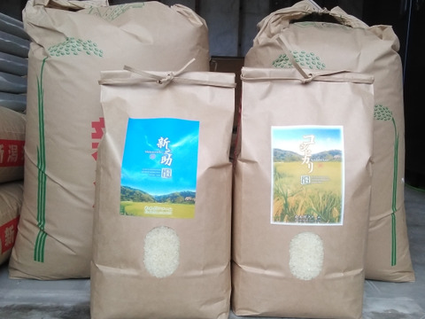 【福袋】令和7年新米　新潟の棚田で育てたコシヒカリと新之助の食べ比べセット