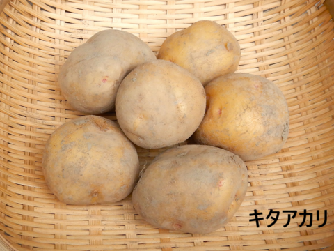 甘くておいしい『キタアカリ』、ホクホク食感の『アンデスレッド』、煮崩れしにくい『ニシユタカ』、なめらかな食感の『シンシア』が入った自然栽培のジャガイモ食べ比べセット各800g入りの3.2kg