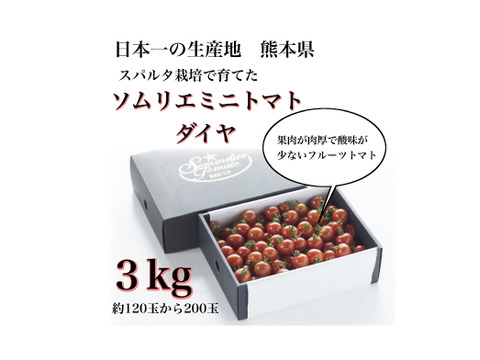 【極み】塩トマトのようなフルーツトマト　ソムリエミニトマト　ダイヤ３kg