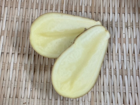 北海道産新じゃが！『ピルカ』５Kg