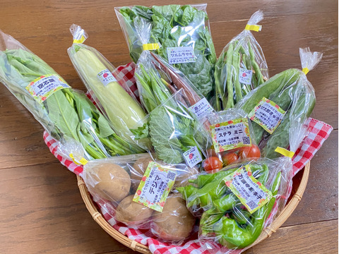 【自然栽培🍀80サイズ】朝採り新鮮！旬菜セットM（３〜５人様向け）