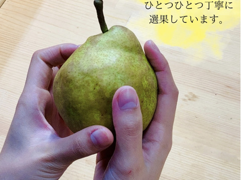 🍐濃厚ジューシー！山形県産ラフランス【約2kg・7玉入り(2Lサイズ)】