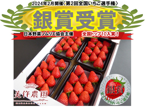 【全国いちご選手権銀賞受賞！】おいCベリー他『晴れの国岡山の樹上完熟いちご』4パック詰合せ(品種おまかせ)（4パック、約1,080g）