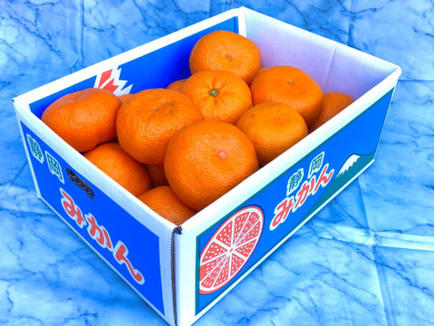 【貯蔵熟成】甘い青島みかん　大玉　5㎏　静岡県から産地直送