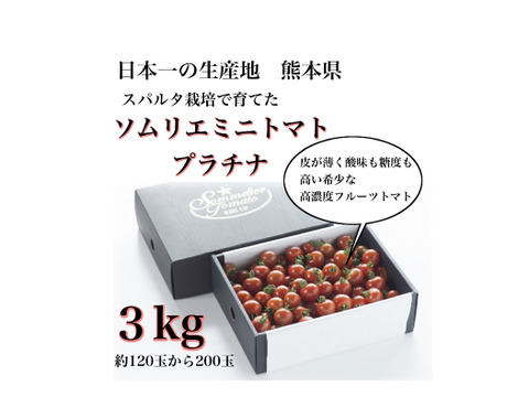 【極み】希少な高濃度フルーツトマト　ソムリエミニトマト　プラチナ３kg（１２０玉～２００玉）
