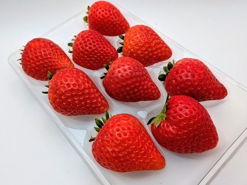 ジュワ～と果汁！贈答用！完熟とちあいか！やさしく苺を包むゆりカーゴ梱包！今話題の甘さが際立つ品種です！
約270g×2パック