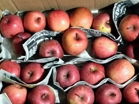 りんご　サンふじ　約６８％　農薬カット　20-25個くらい　小玉多め　キズ等、黒点、虫食い混じり多め