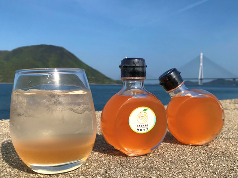 【無添加・農薬・化学肥料等不使用栽培】コーディアルシロップ　ブラッドオレンジ（タロッコ）150ml×2本