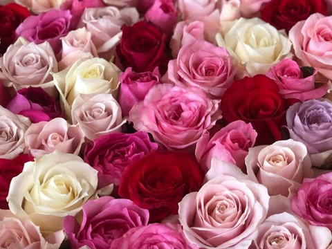 母の日特別なプレゼント！　ローズバス　薔薇風呂