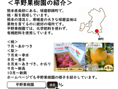 幻の梨！『清流球磨梨』かおり　約3kg(3〜7個入り)