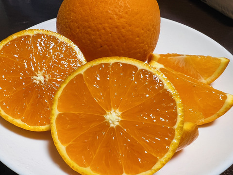 完熟木なり清見オレンジ5kg【訳あり】甘さ濃厚！　農家直送　愛媛県にしうわ