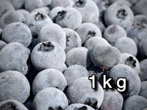 【道産自然栽培】冷凍ブルーベリー•1kg（古参品種ミックス）※まとめ買い対応