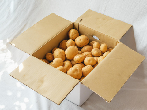 ほくほく甘い！屋久島の新じゃが〈ニシユタカ〉農家直送　10㎏