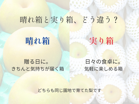 新水｜晴れ箱3kg（8~12玉）｜幻の梨｜限定出荷　8月上旬〜【夏ギフト】【贈答向】
