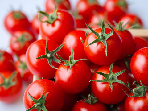 【島根県出雲市産】甘くて濃厚な〈超トマト〉ゼリー・6個入り【超新食感！】