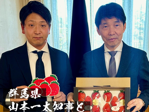 【いちご博2024総合大賞】新鮮完熟やよいひめ（約400g）