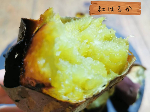 島さつまいも三彩セット 紅はるか/安納芋/高系14号 計２kg【ほくほく・ねっとり食べ比べ】