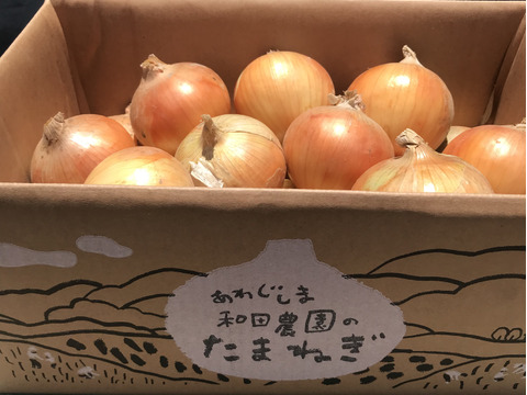 【淡路島 和田農園】淡路島玉ねぎ10kgM〜LLサイズ 完熟中生
