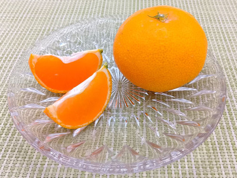 秋が旬！『早みかん』【9.3kg】