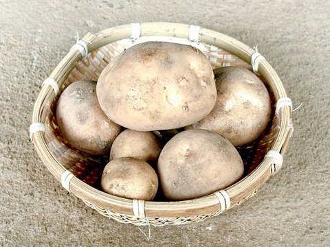 お試しに！新じゃがいも3種 食べ比べセット ２キロ箱