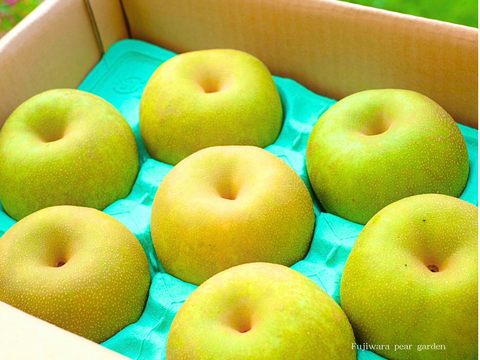 幸水｜晴れ箱3kg（6〜9玉）｜夏のご挨拶にそっと添える梨 ｜ 8月中旬順次発送予定【夏ギフト】【贈答向】