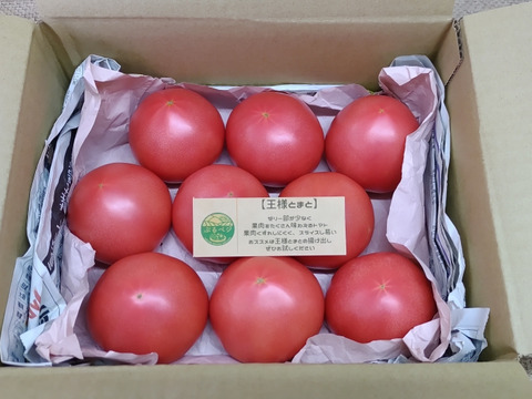 トマトん王子 トマトん王子 王様トマト 約2.5kg 【11218-0713】