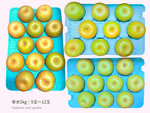 幸水｜晴れ箱5kg（9~12玉）｜夏のご挨拶にそっと添える梨 ｜8月中旬順次発送予定【夏ギフト】【贈答向】