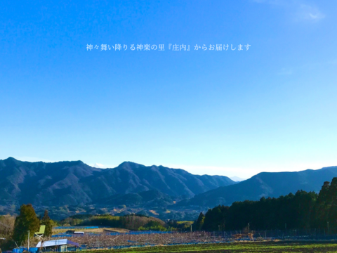 【新高】【ご家庭用3kg】ガシッとワイルド☆しっかり甘い＊食べ応えも大満足＊男性に人気！！庄内甘熟梨【おためし品】