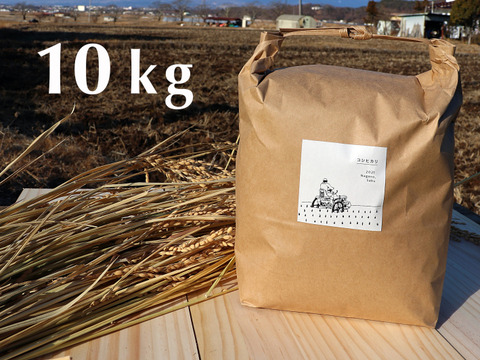 【令和5年産】農薬・化学肥料不使用　長野県産コシヒカリ【白米10kg】
