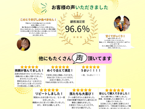 平均糖度20度　豊とうきび　８本セット