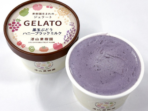 【ふるさとギフト大賞最高賞】ギフトに◎果樹園生まれの3種のぶどうジェラート