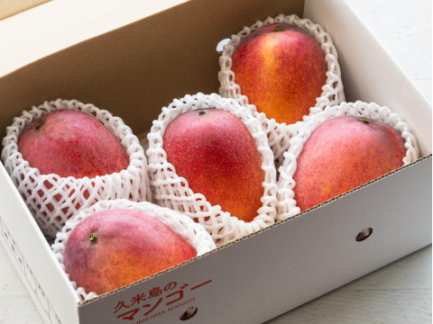 【7月発送／ご自宅用】久米島の土と太陽が育てた完熟マンゴー：2㎏（4～5玉）