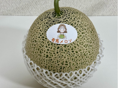 【県知事賞受賞】有馬温泉の麓産 特秀品 赤肉メロン🍈 特大5L 1玉｜土づくりと甘さにこだわった農薬節約栽培🌱 兵庫県産 レノン《7月中旬頃〜発送🚛³₃》【お中元】【夏ギフト】【特秀品】