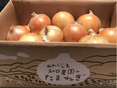 【淡路島  和田農園】淡路島玉ねぎ　5kgM〜LLサイズ