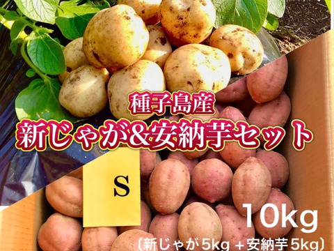 【期間限定】種子島産 新じゃが(SMLサイズ)＆熟成安納芋(Sサイズ) ｜1箱10kg(箱別)