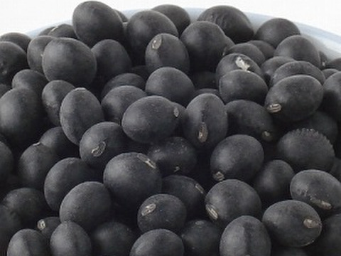 風味豊かな農薬不使用の有機黒豆！　6kg　大袋  北海道の大地で育った、いわいくろ