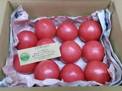 今が旬♪夏の王様トマト🍅赤熟もぎりの【麗月】小玉11玉詰め