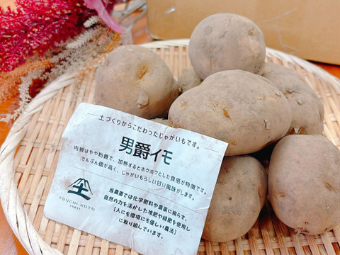 北軽井沢産】じゃがいも3種類・新種さつまいも「あまはづき」×1㎏づつ