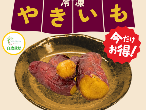 冷凍焼き芋【今だけお得!!!】農薬不使用　紅はるか　完熟芋を使用した冷凍焼き芋　約1.5kg♪