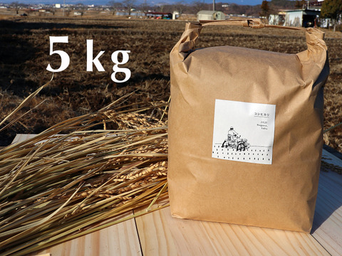【令和3年産】農薬・化学肥料不使用　長野県産コシヒカリ【白米5kg】