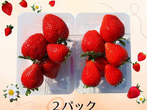 高糖度♡朝採れ直送🍓甘くてジューシー！【とちあいか】2段詰2パック