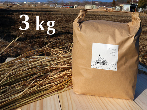【令和5年産】農薬・化学肥料不使用　長野県産コシヒカリ【玄米3kg】