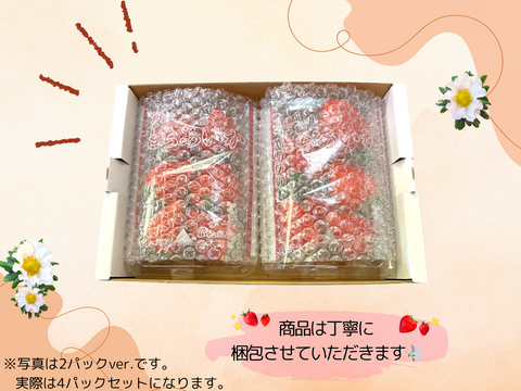 高糖度♡朝採れ直送🍓甘くてジューシー！【とちあいか】2段詰4パック