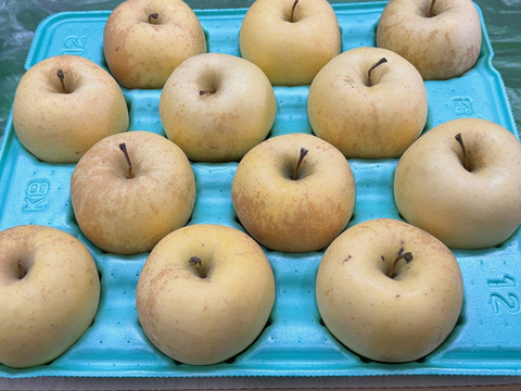 「有袋!金星!! 」家庭用約4.5Kg青森県産 数量限定　金星　きんせい　りんご