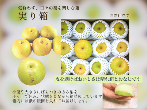 幸水｜実り箱4kg｜家族で囲む夏の梨 ｜8月中旬順次発送予定【ご家庭向】