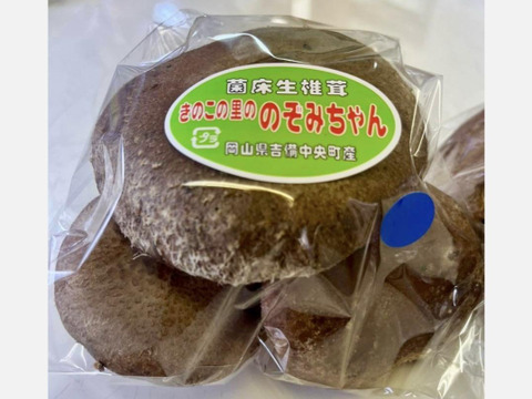 肉厚ジューシー★旬の【大玉しいたけ 180g×10パック】岡山県吉備中央町産