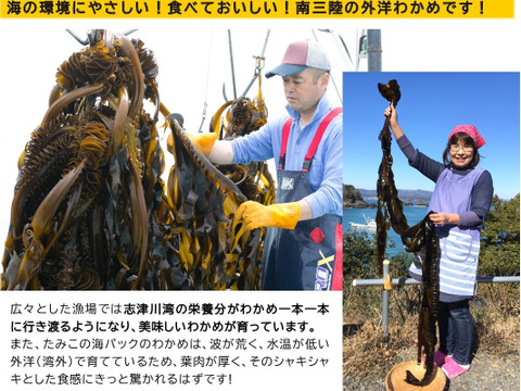 シャキシャキつるんとした南三陸産わかめ【塩蔵わかめ】80g×5袋「熨斗対応可」