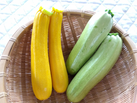 【ちょっと欲張り夏野菜】
【たっぷりいろいろ　３０００円セット】
農家人が選ぶ旬野菜のおまかせセットです。
7月10日までならビーツが入ります。