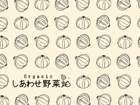 【有機JAS認証】たまねぎ６㎏