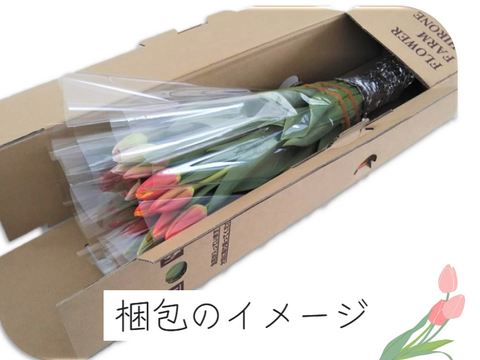 1月31日は”愛妻の日”　スペシャルギフトチューリップ20本　※北海道・沖縄県配送不可※
